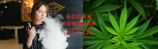 твердый Пестово