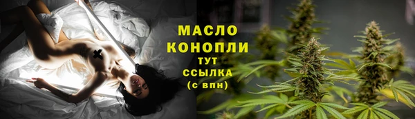 индика Пересвет