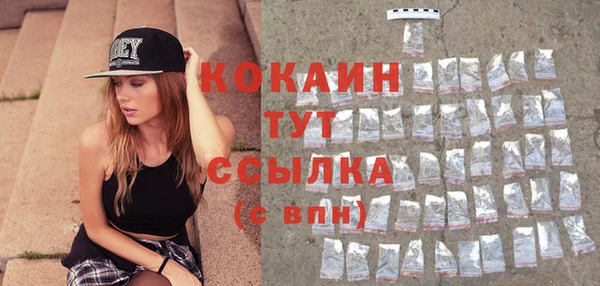 индика Пересвет