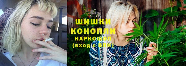 индика Пересвет