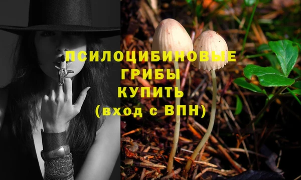 дмт Дмитровск