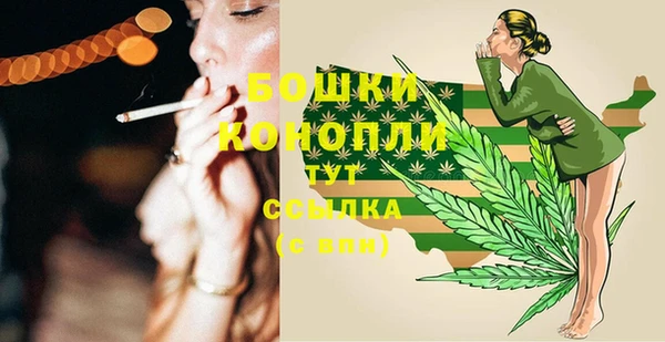 твердый Пестово