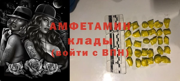 индика Пересвет